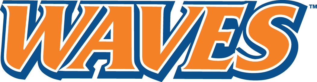 Pepperdine Waves 2004-Pres Wordmark Logo iron on transfers for T-shirts